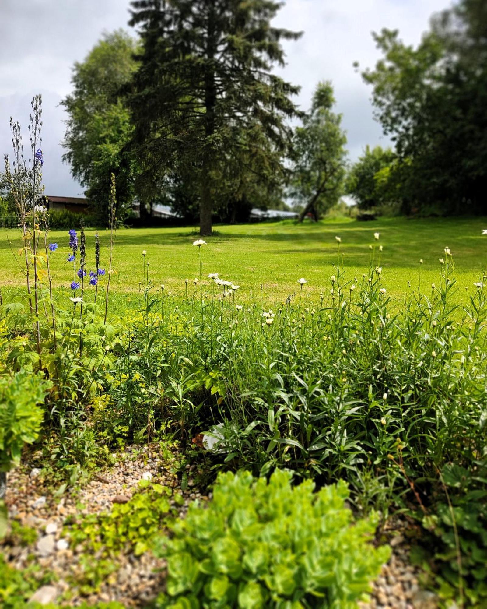 Gruenvogels Landgasthof Zum Gruenen Baum Oberzent Zewnętrze zdjęcie