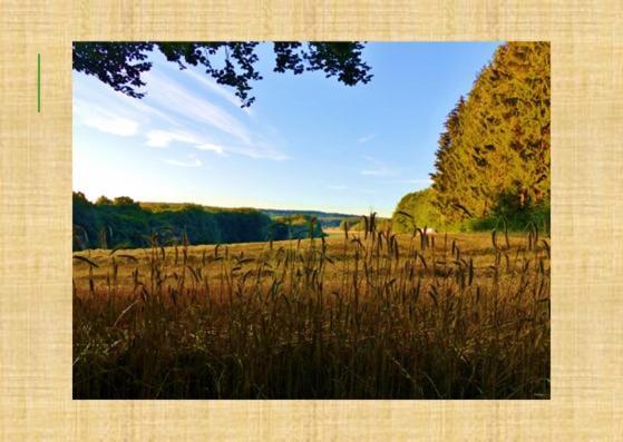 Gruenvogels Landgasthof Zum Gruenen Baum Oberzent Zewnętrze zdjęcie