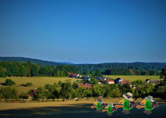 Gruenvogels Landgasthof Zum Gruenen Baum Oberzent Zewnętrze zdjęcie