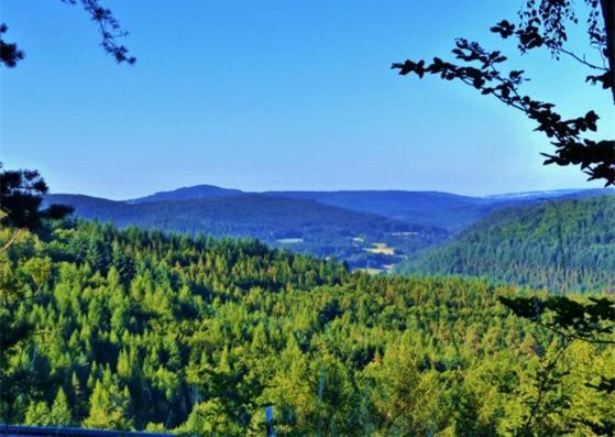 Gruenvogels Landgasthof Zum Gruenen Baum Oberzent Zewnętrze zdjęcie